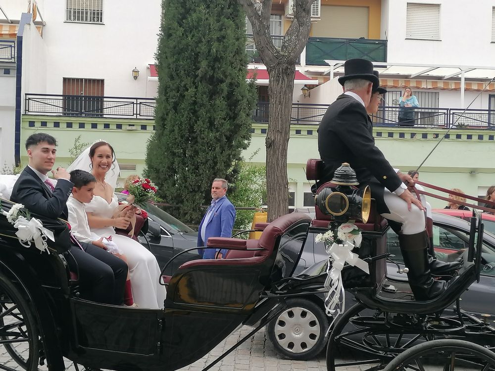 Caballos blancos del coche de bodas — Legado Romano